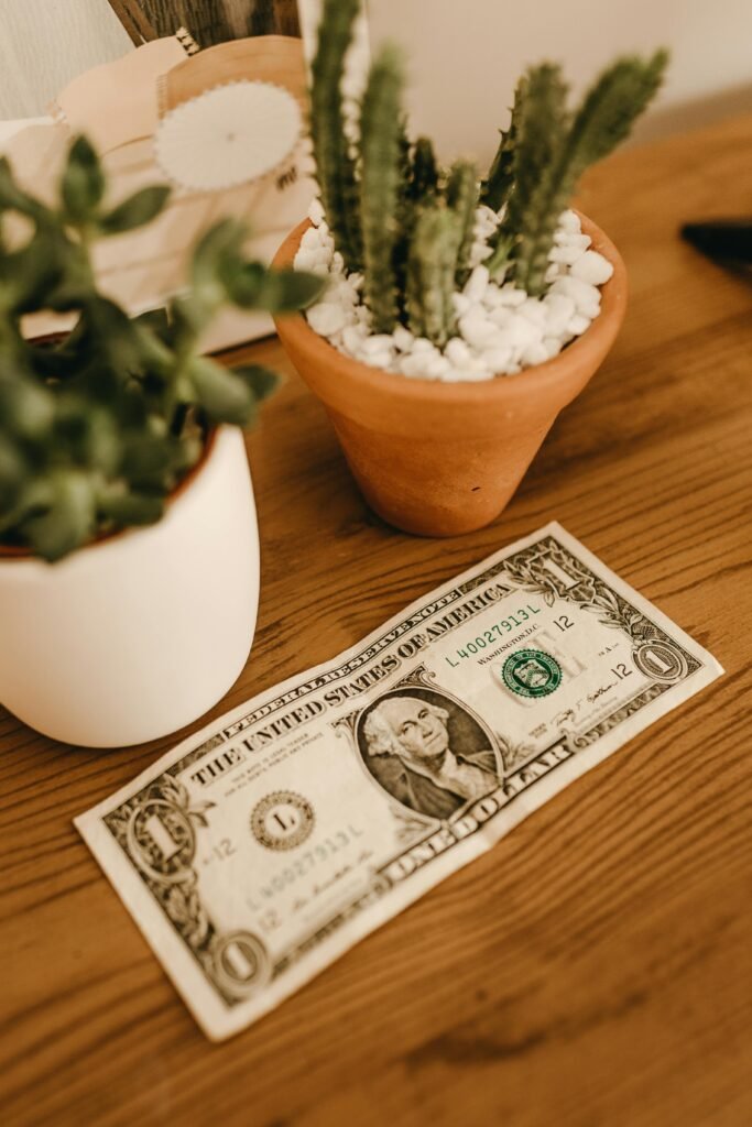 pexels-photo-3689188-3689188 A US dollar bill placed on a wooden table alongside potted cacti, symbolizing finance and nature.